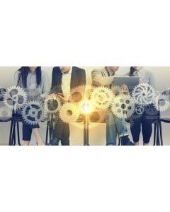 Comprendre les rouages du système professionnel